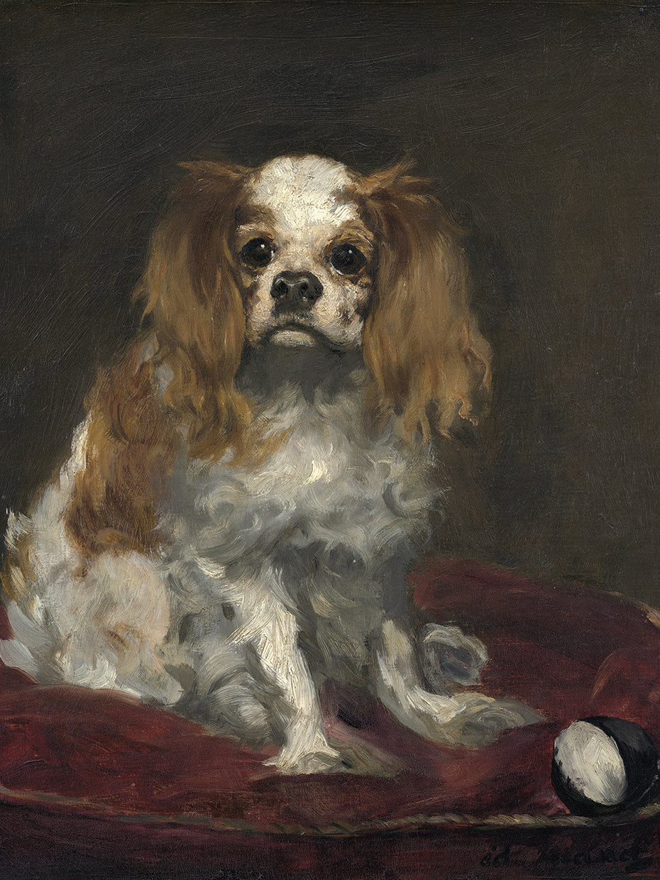 A King Charles Spaniel (c. 1866)