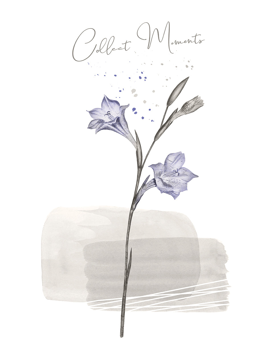 Collect Moments - Japandi Style