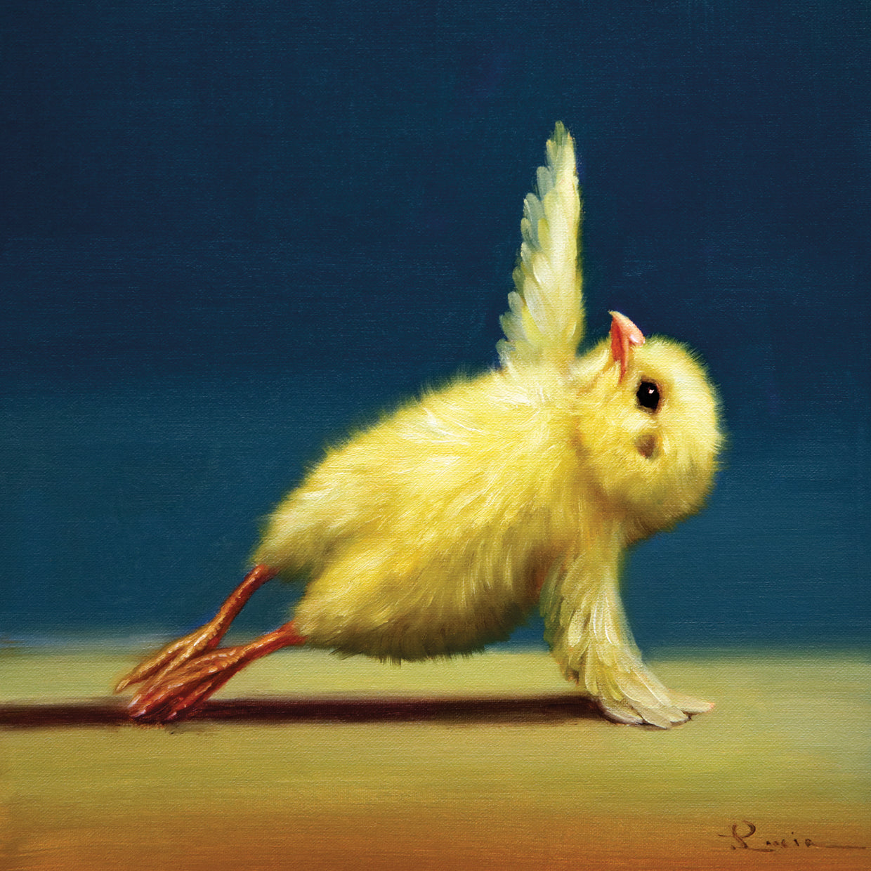 Yoga Chick Side Plank