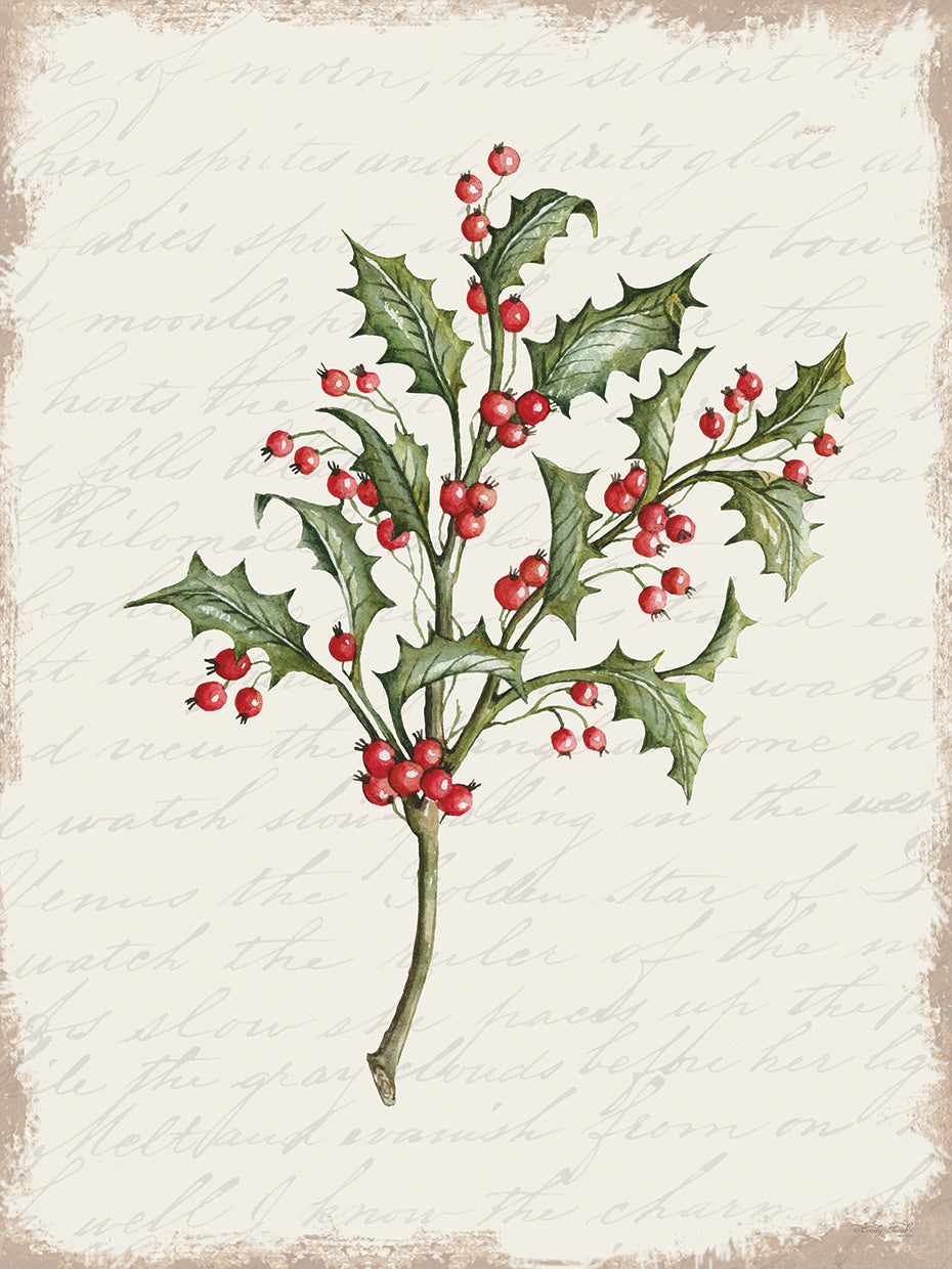 Holly Christmas Botanical