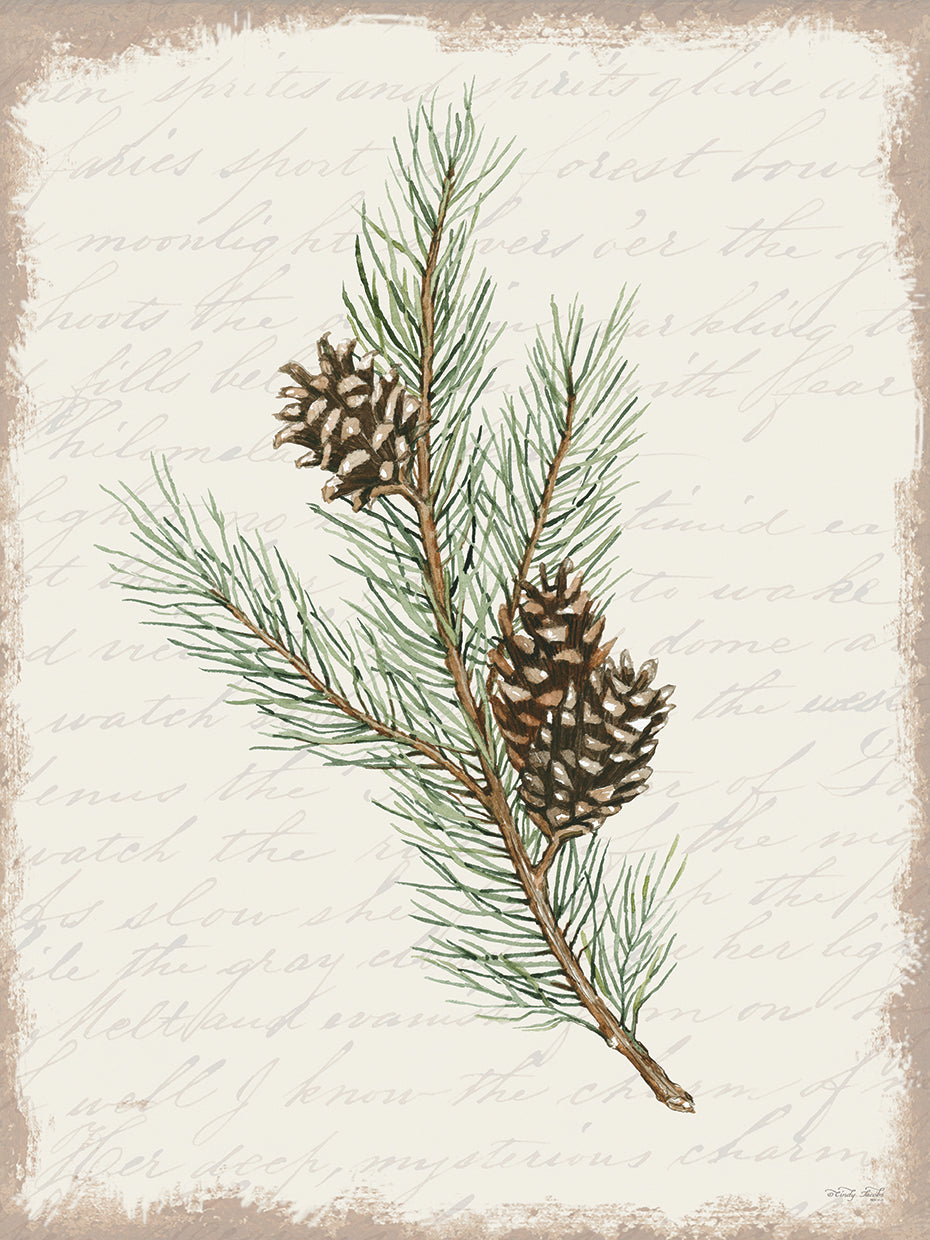 Pine Cone Botanical II