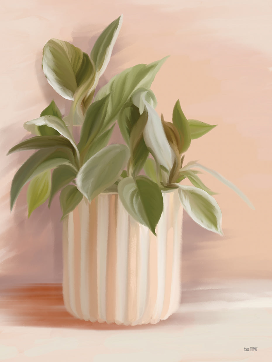 Striped Bohemian Plant I