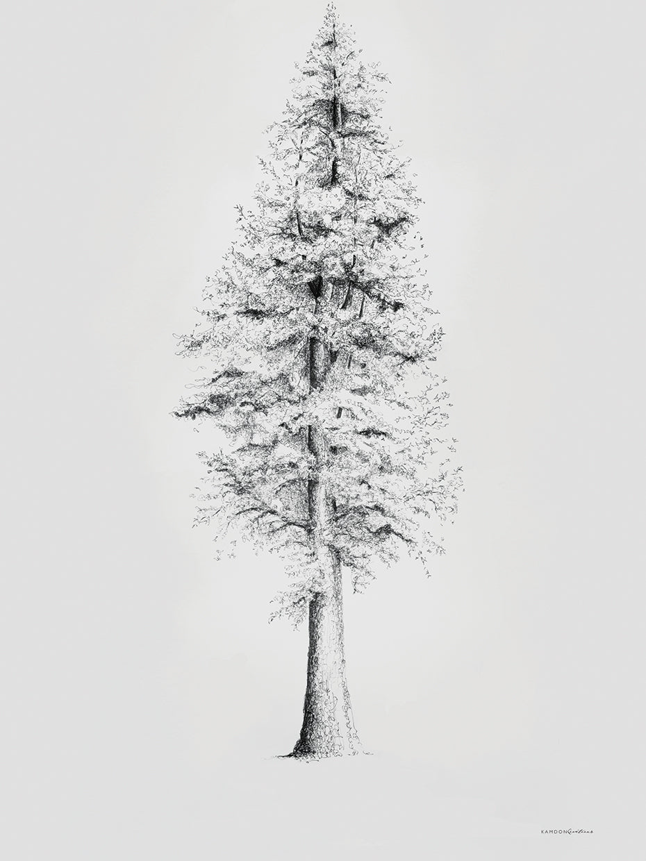 When a Redwood Isn't Red