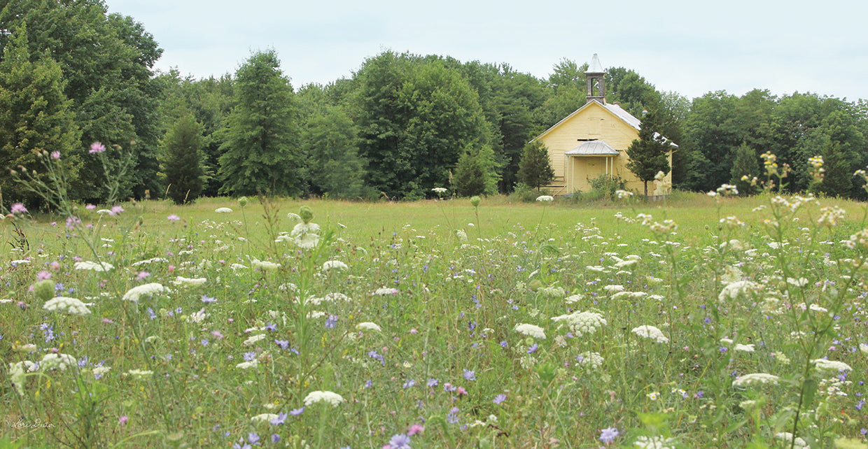 Charming Countryside