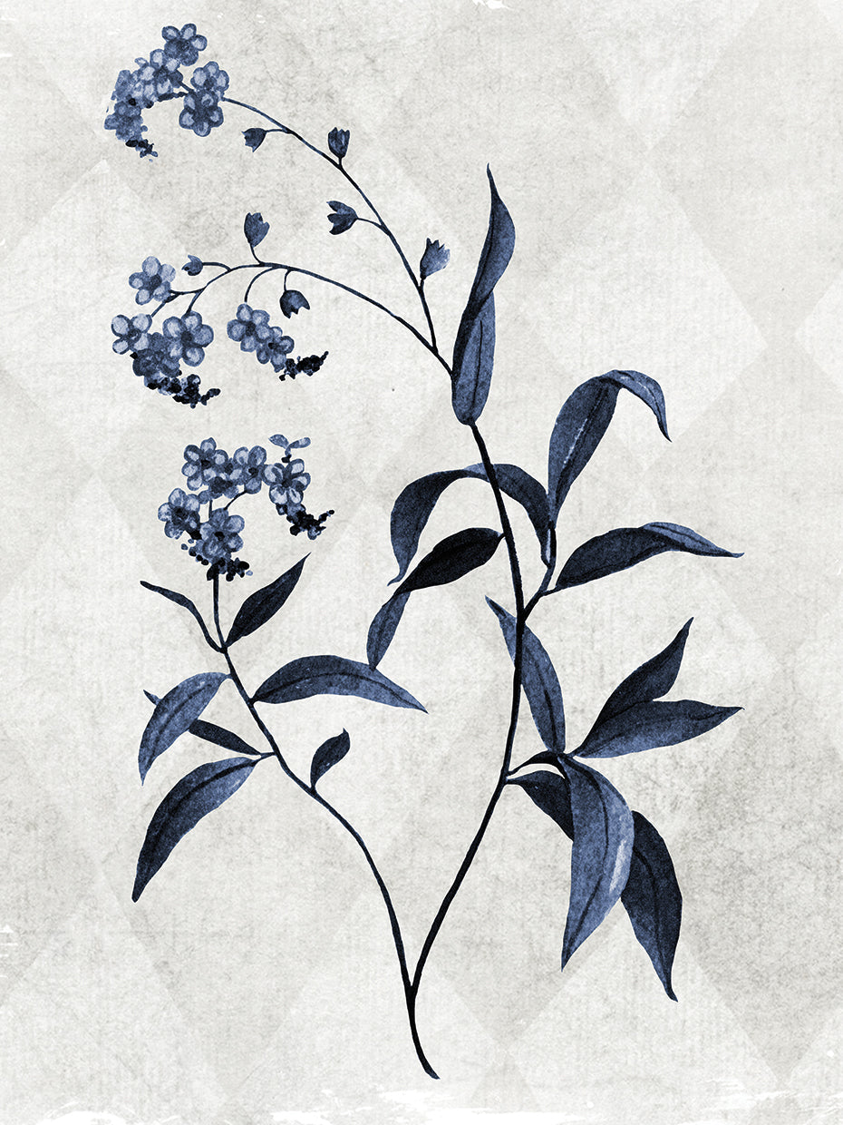 Harlequin Botanical I