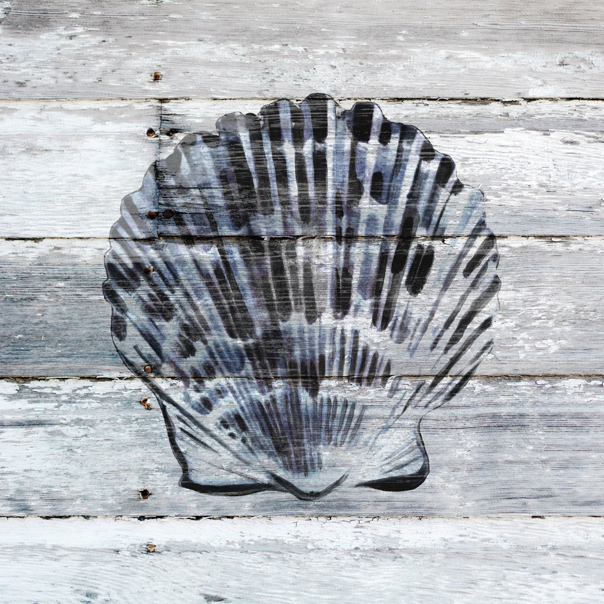 Blue Scallop