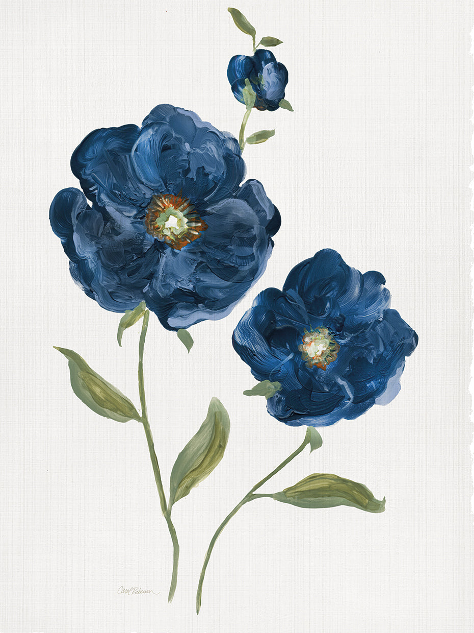 Blue Poppies