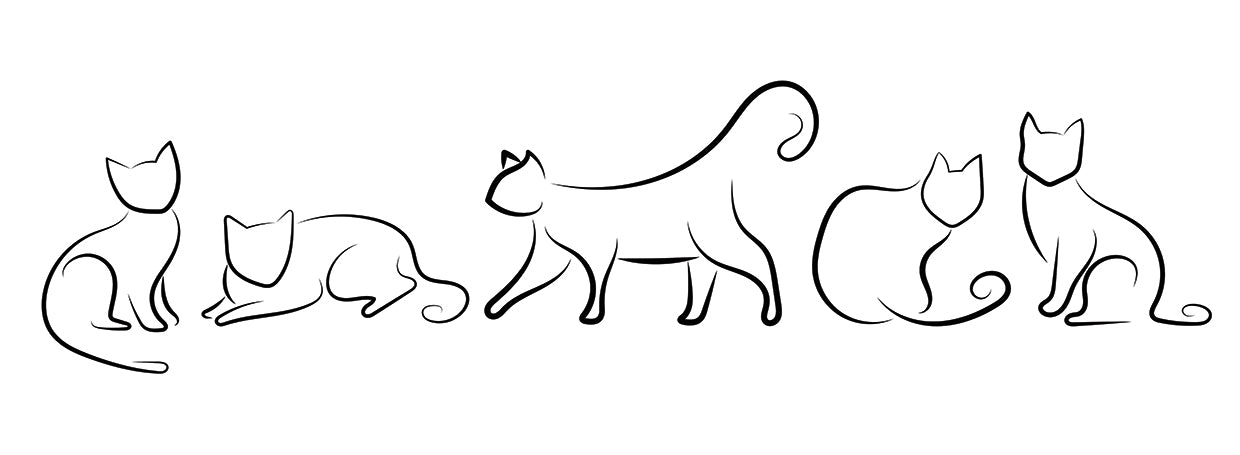 Abstract Cats