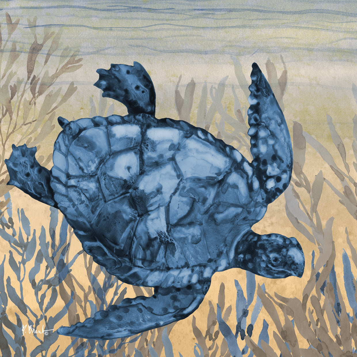 Tonga Sealife I – Sunset