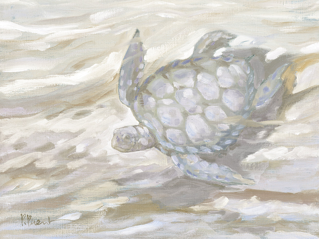 East Point Turtle – Neutral