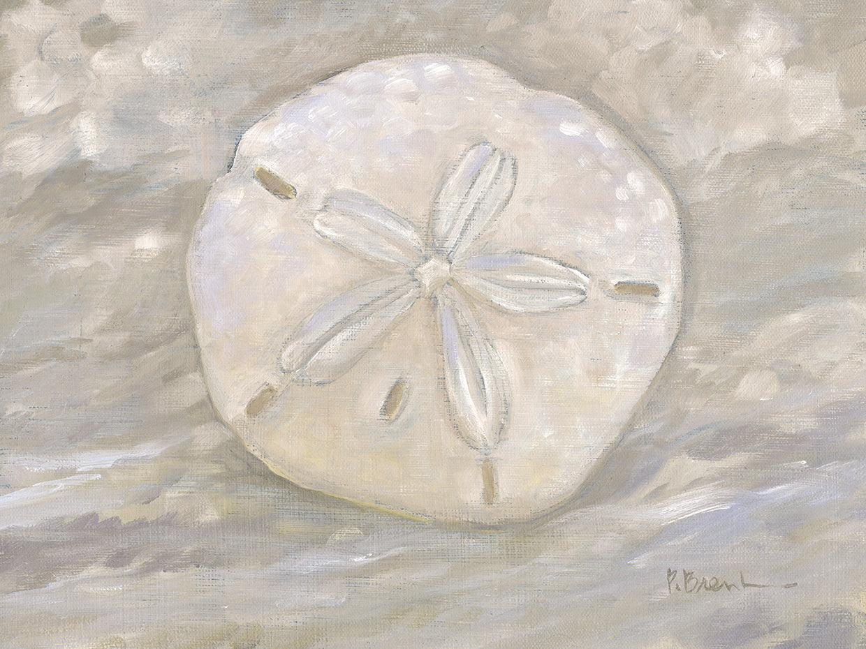 Impressions of Shells I – Sand Dollar – Neutral