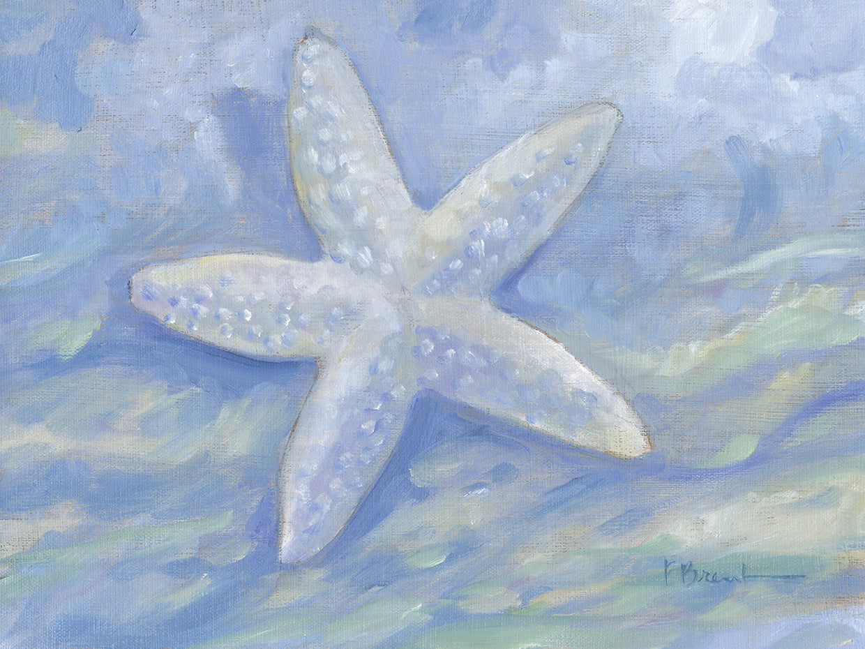 Impressions of Shells II – Starfish