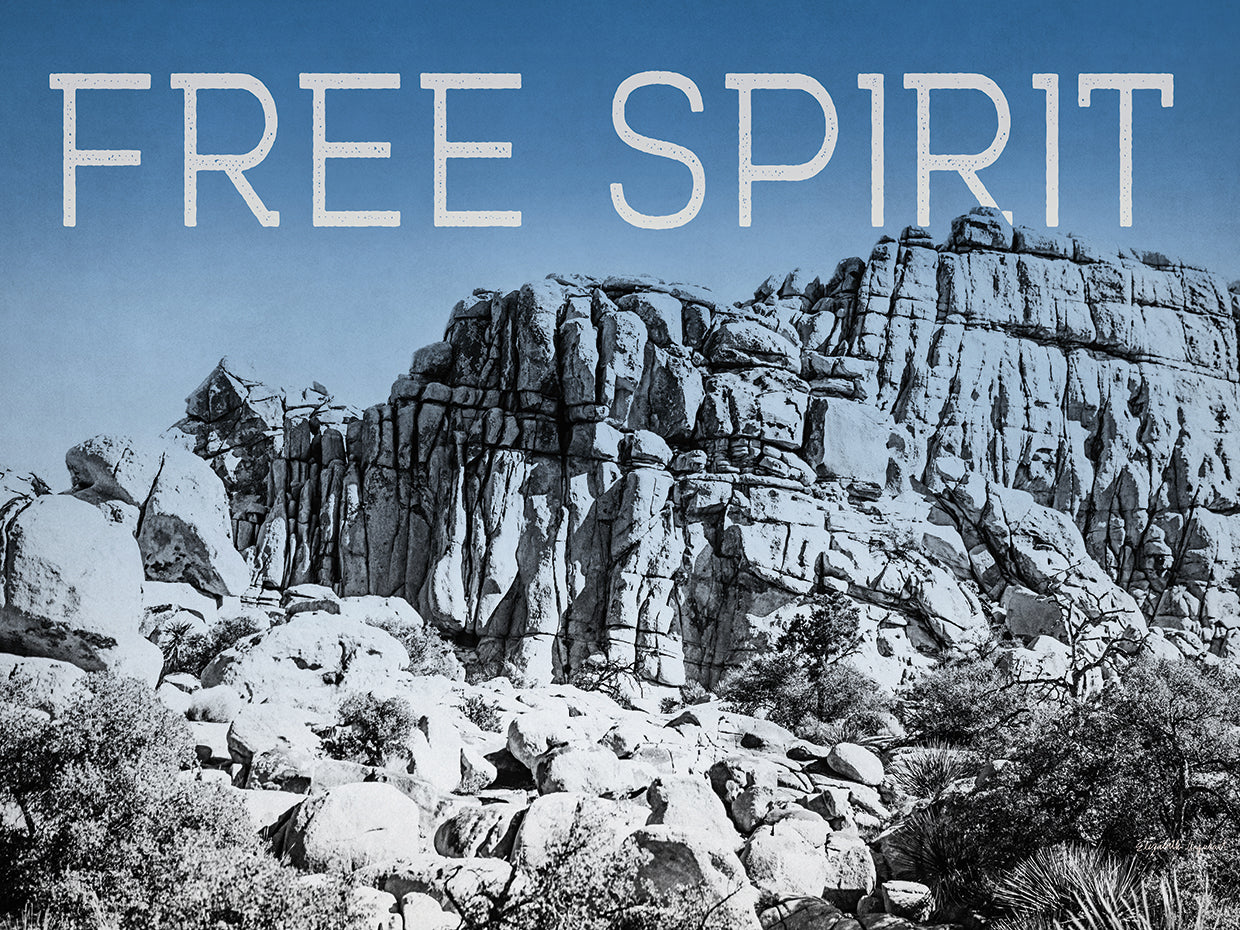 Ombre Adventure VI Free Spirit