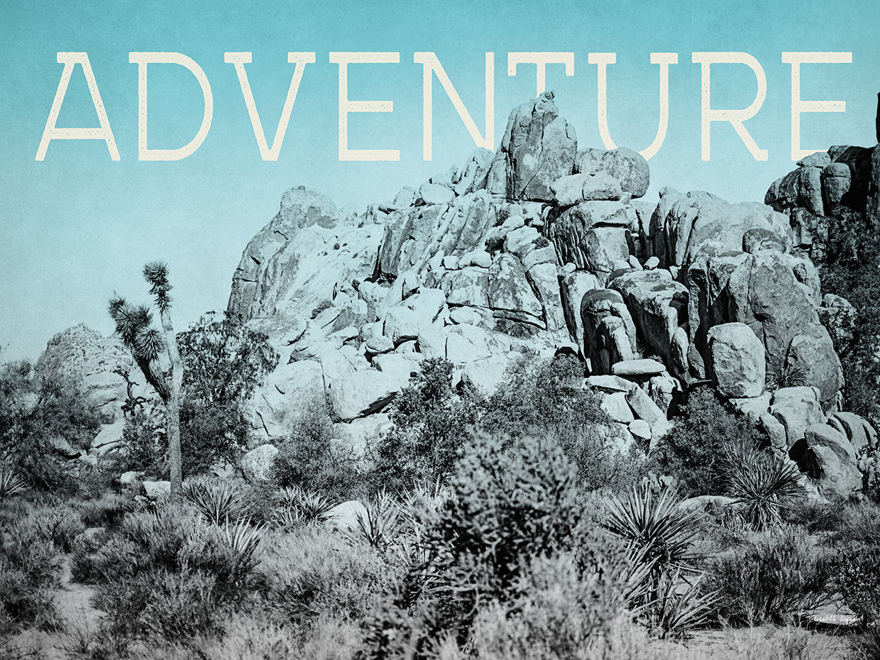 Ombre Adventure III Adventure