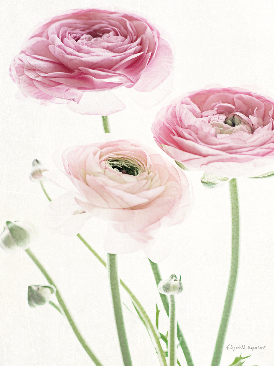 Light and Bright Floral VI