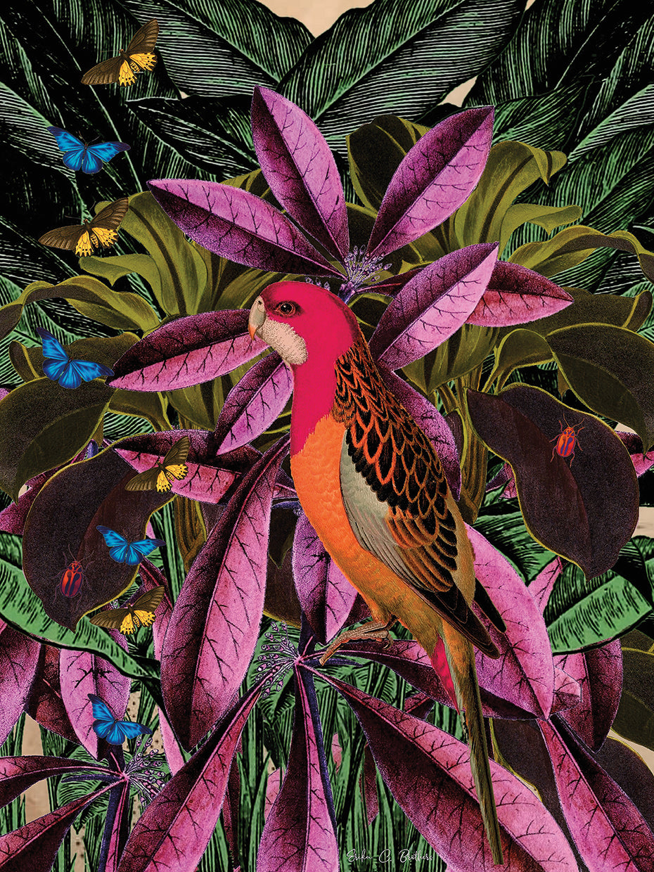 Tropical Jungle No. 2