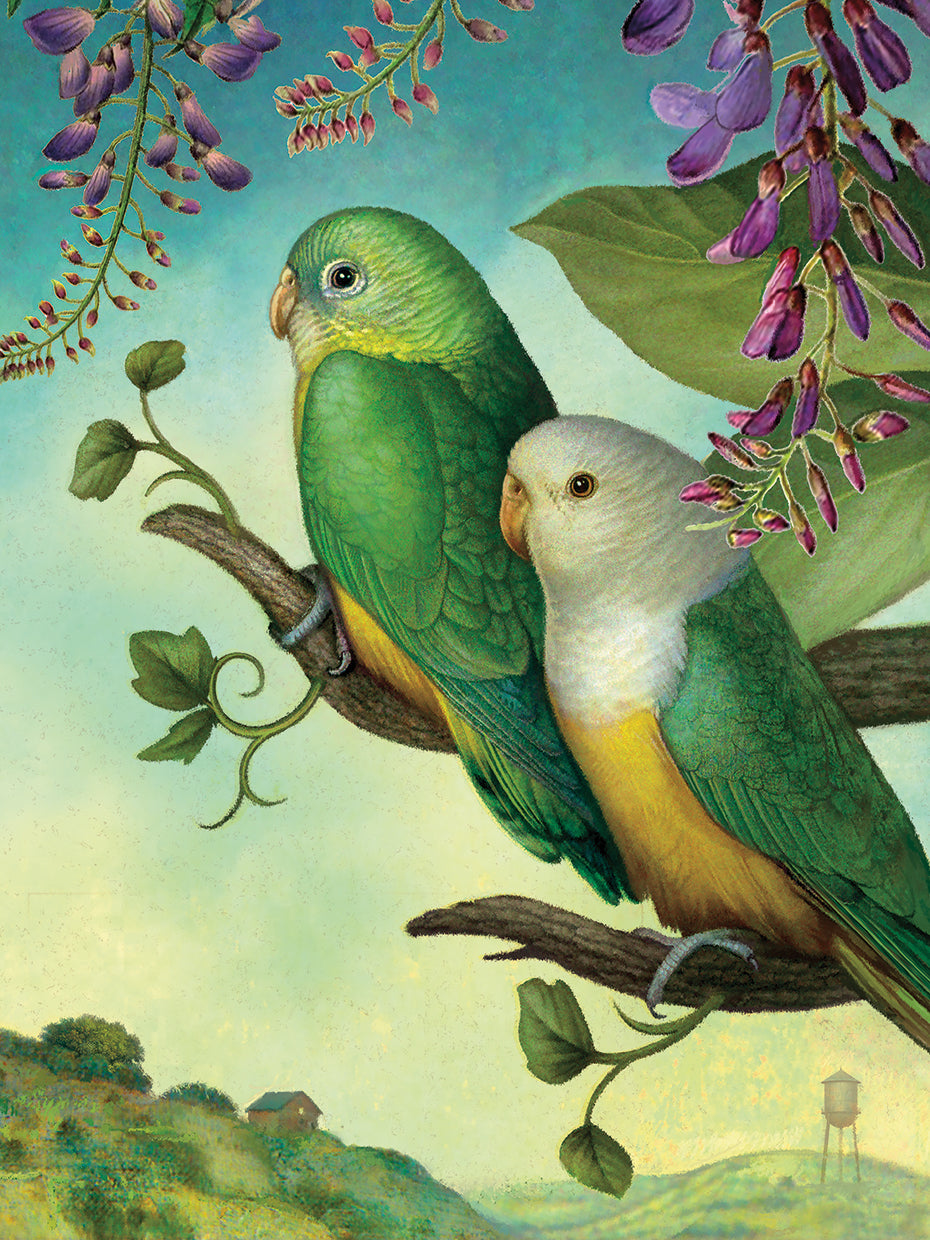 Two Of Water-Lovebirds