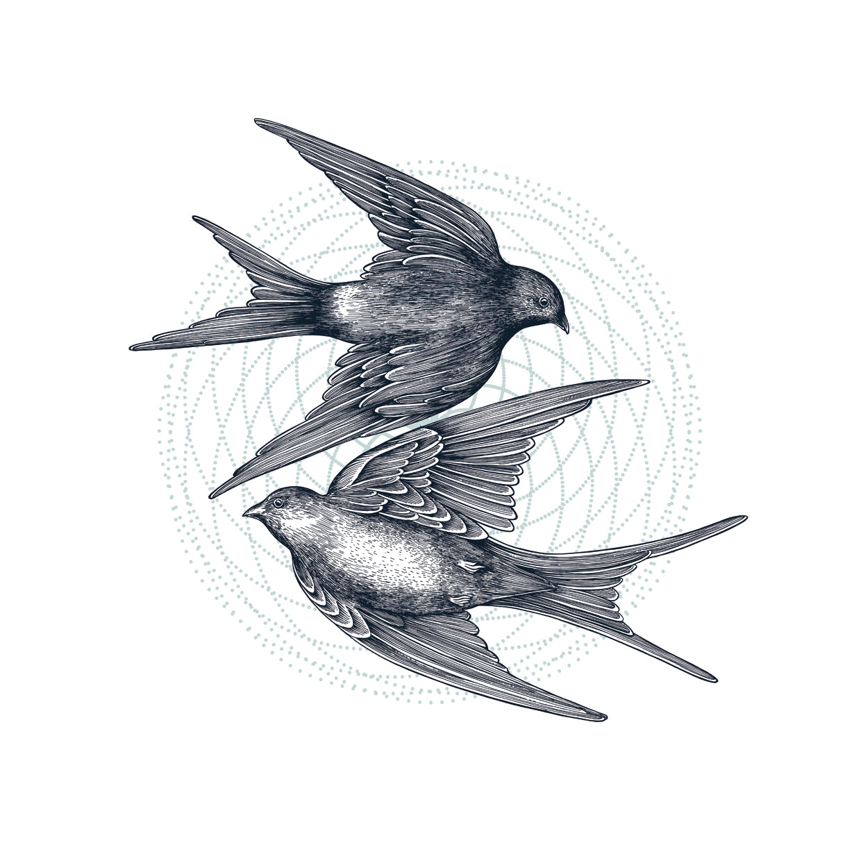 Swirling Swallows