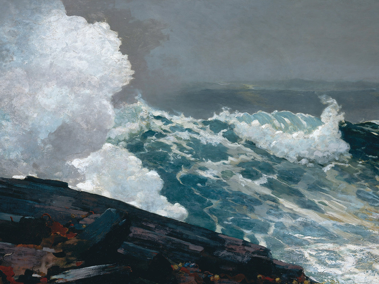 Northeaster (1895)