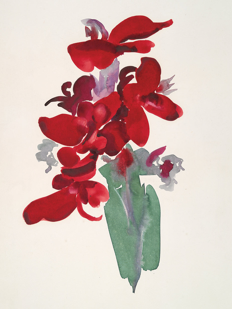 O'Keeffe Red Canna (1915)