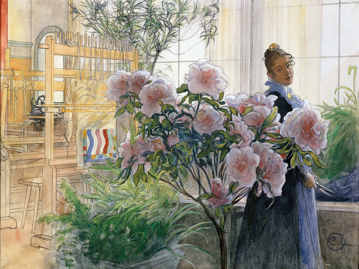 Azalea (1906)