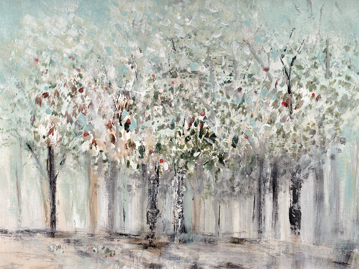 Morning's Soft Light