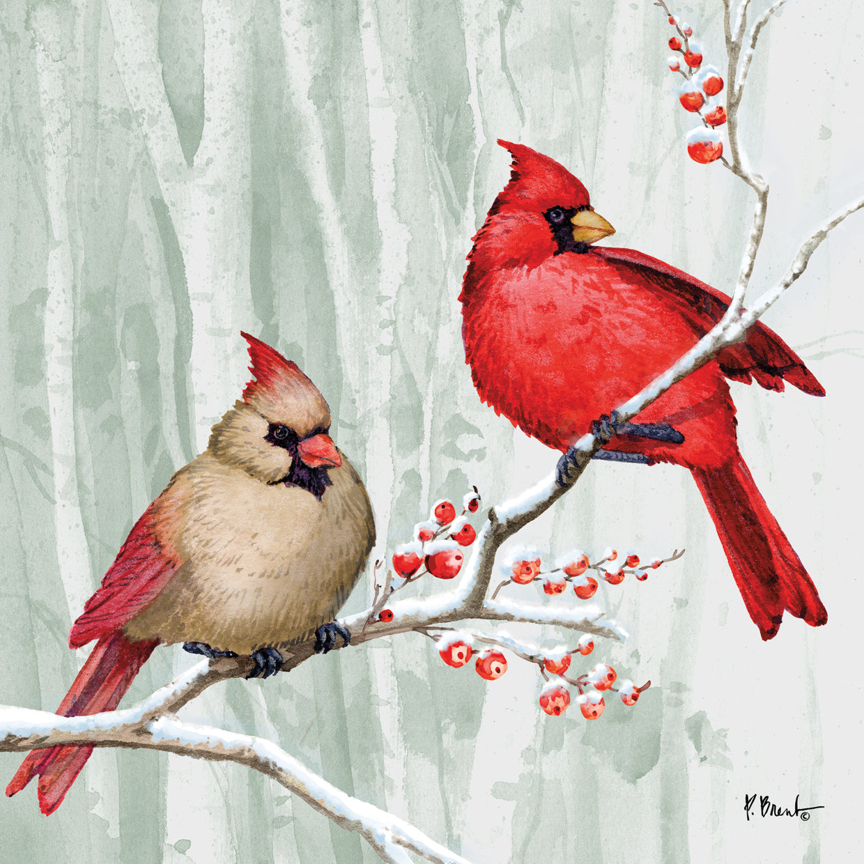 Snowy Cardinals I