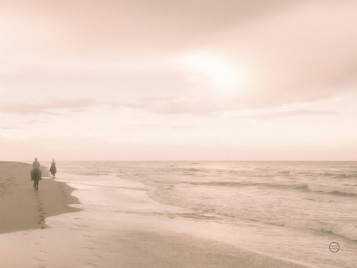 Horses on the Beach Wall Art by Nathan Larson | Fine Art Canvas