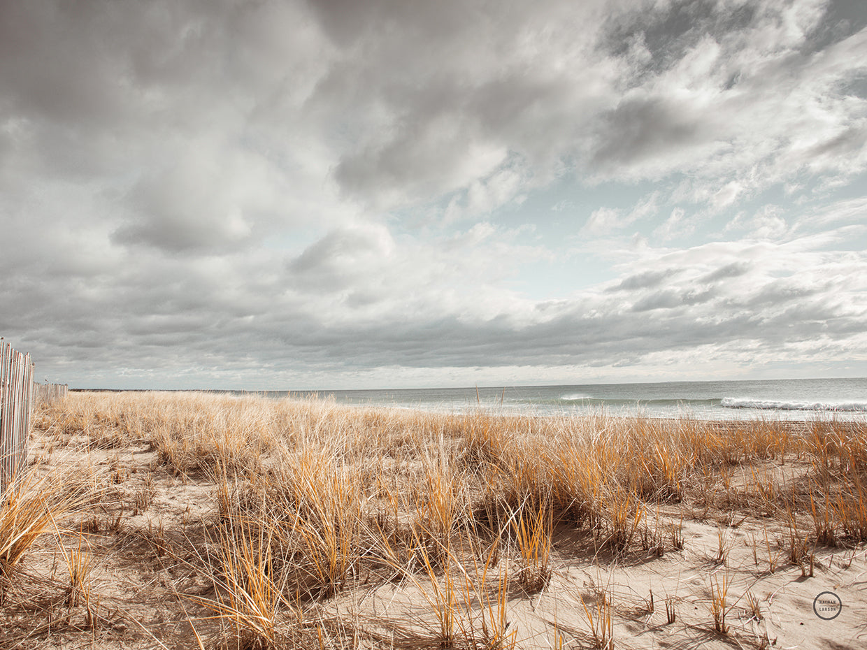 Atlantic Coast Afternoon