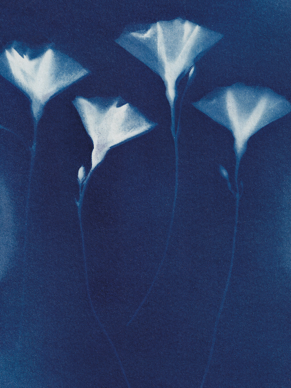 Magic In The Ordinary 3