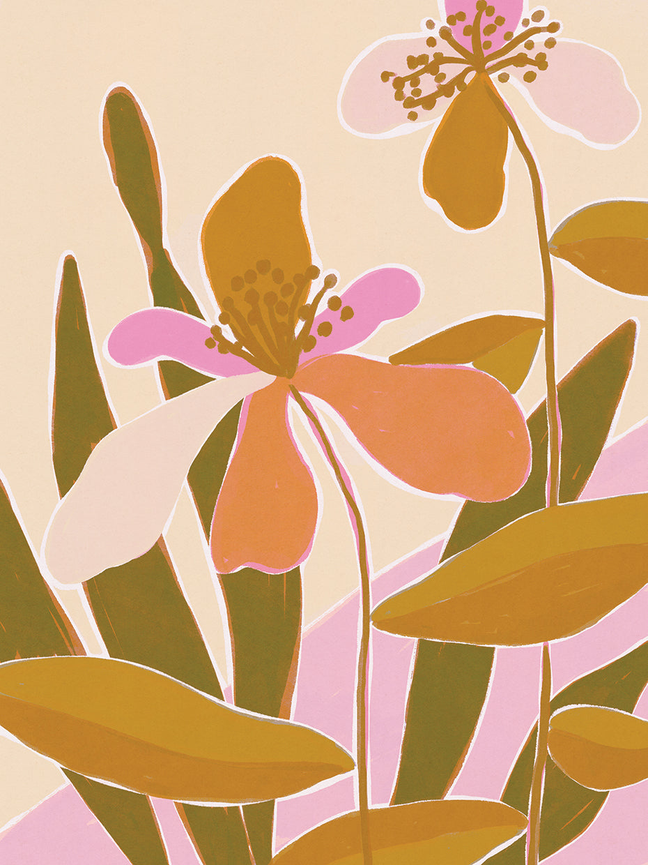 Colorful Iris Flowers