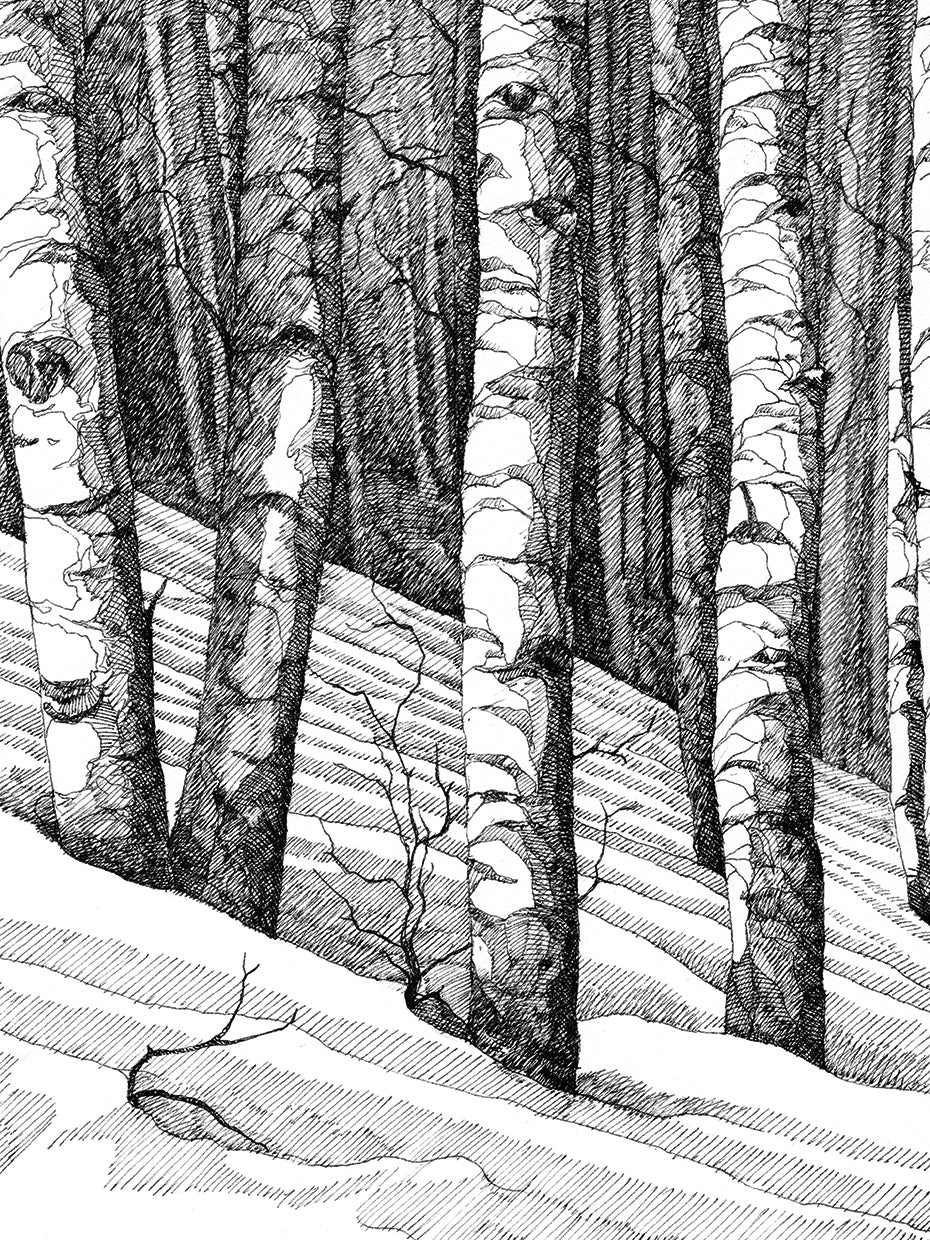 Don't Snowboard Here