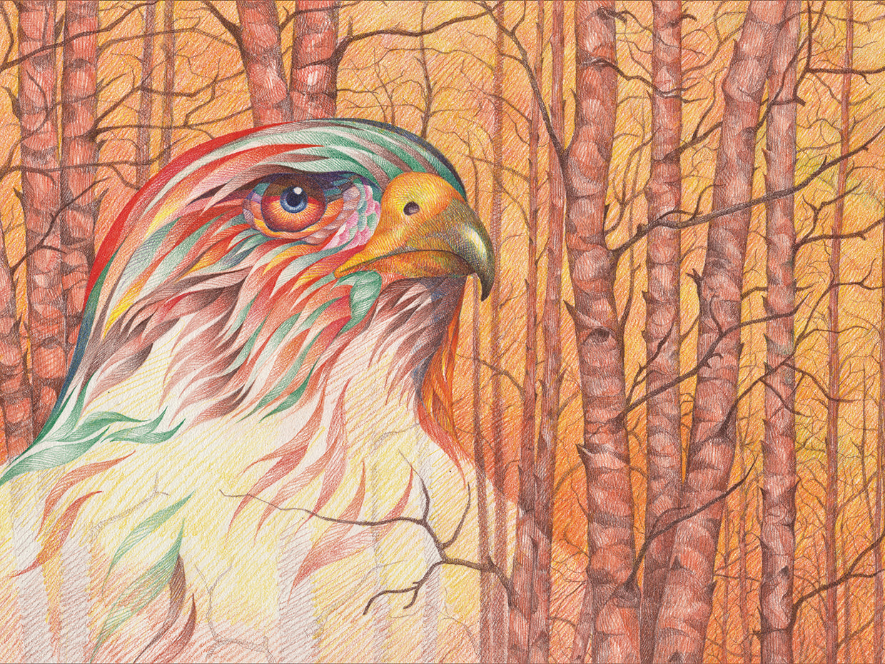 Raptor All Pyched Up