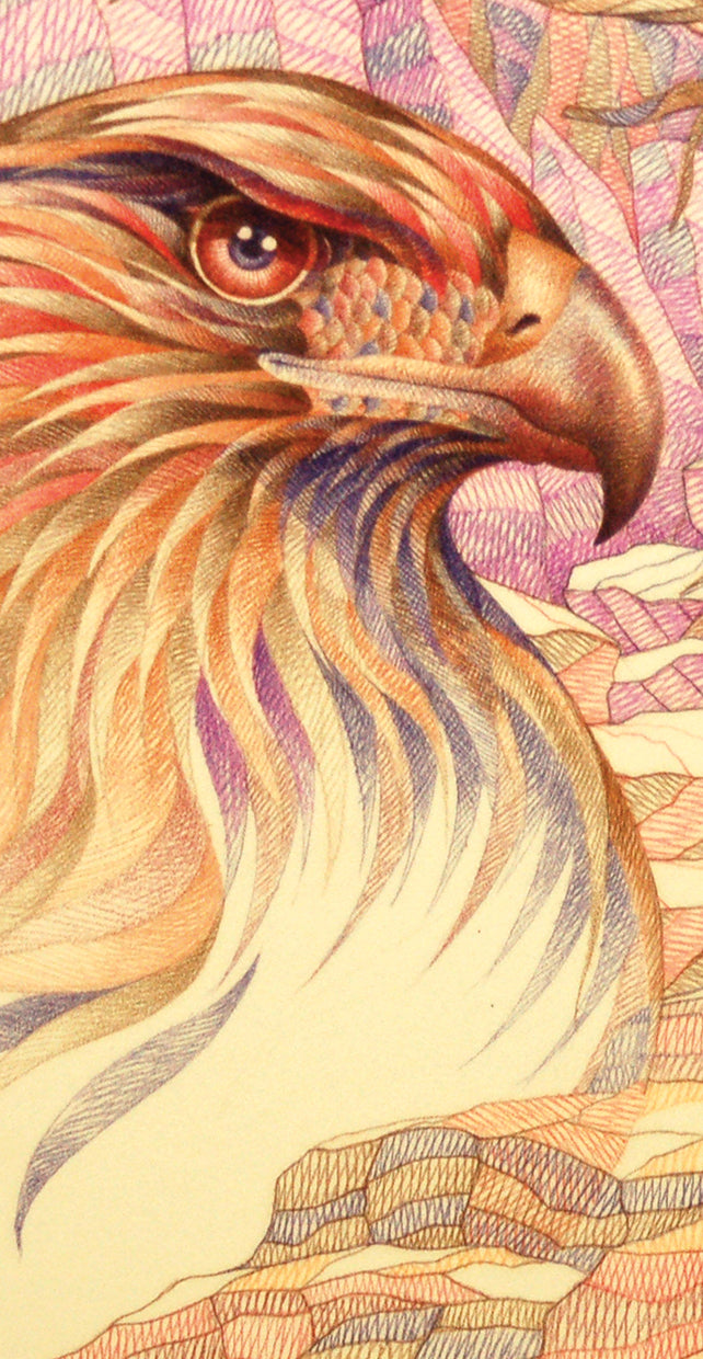 Raptor's On The Lookout