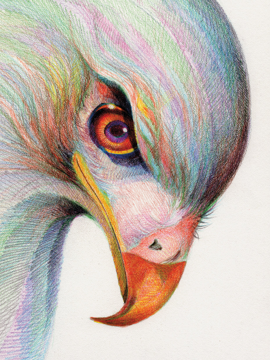 Raptor's Watchful Eye