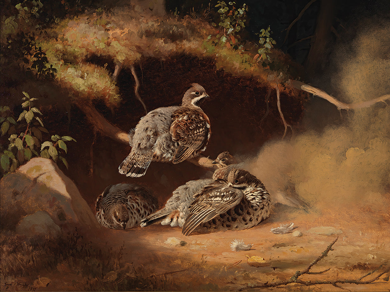 Hazel Grouse Wallowing In Sand (1877)