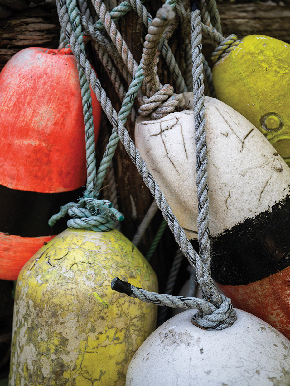 Parachoques de barco I Lienzo