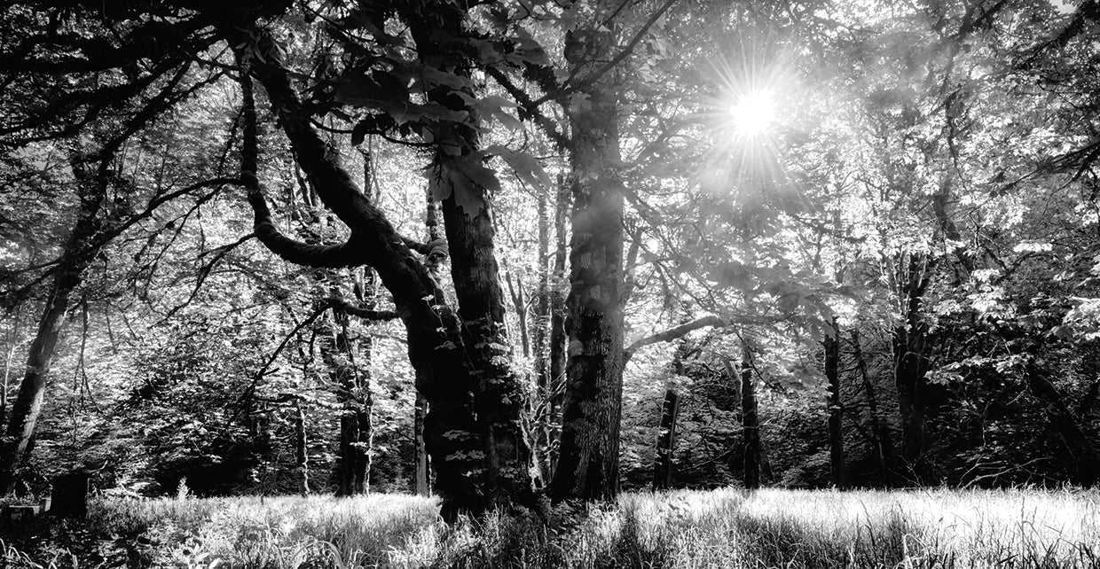 Let the Light Shine throught the Darkness