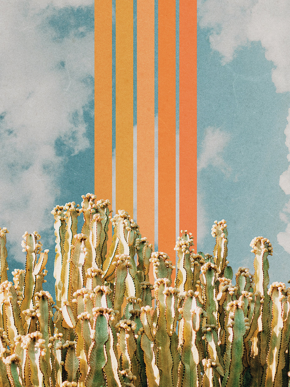 Cactus and Rainbow #2