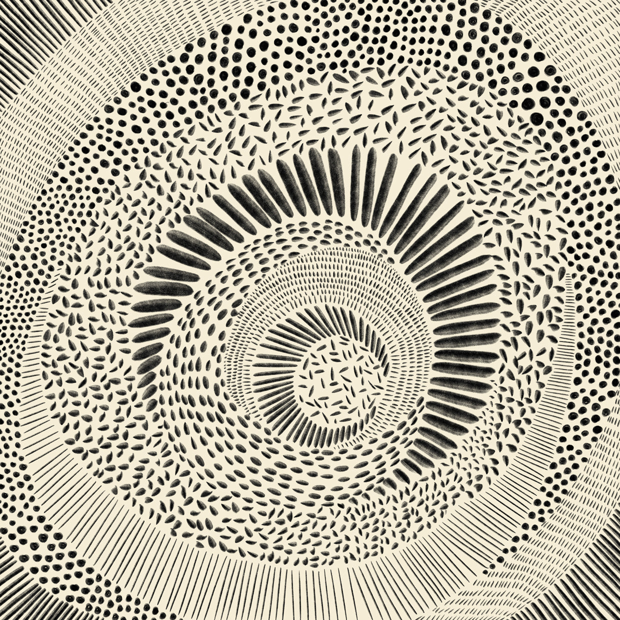 Hand Drawn Patterned Abstract