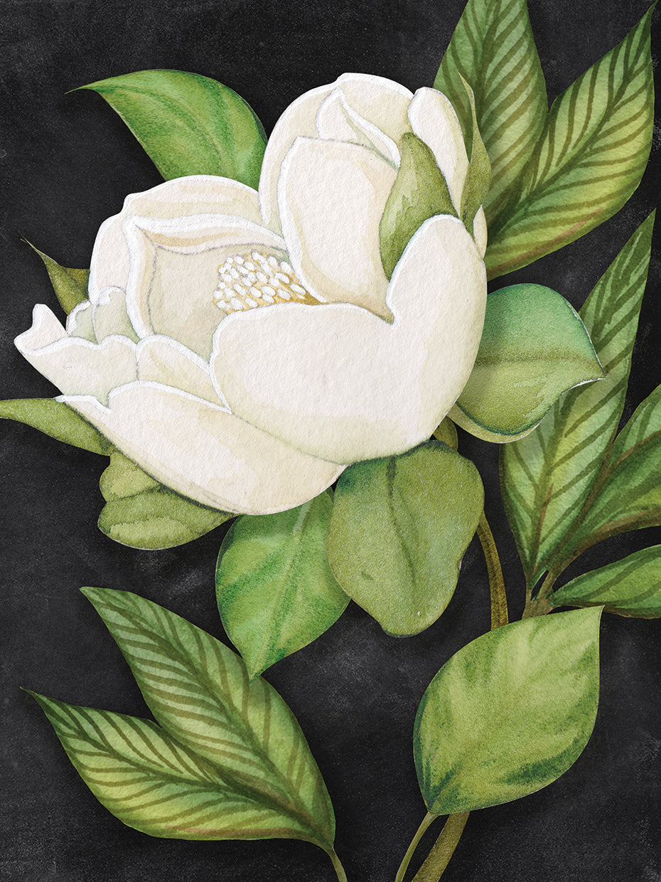 Flor de magnolia 6 Lienzo