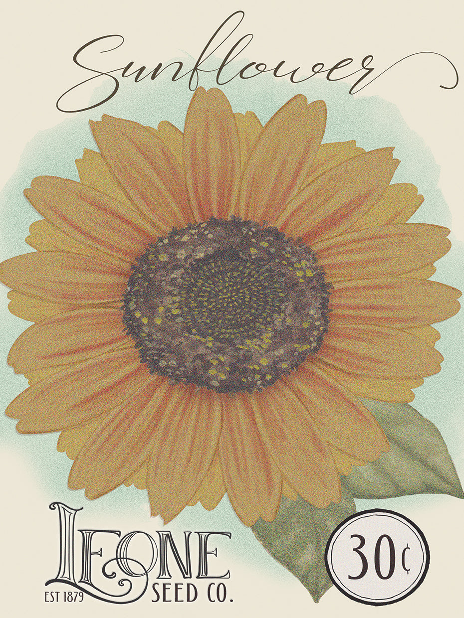 Sunflower Seed Packet 8