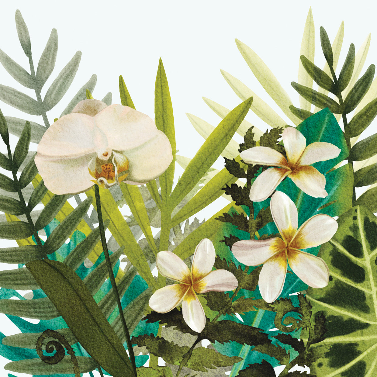 Floral tropical Lienzo