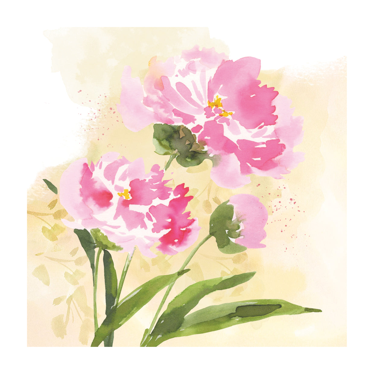Peony Watercolor