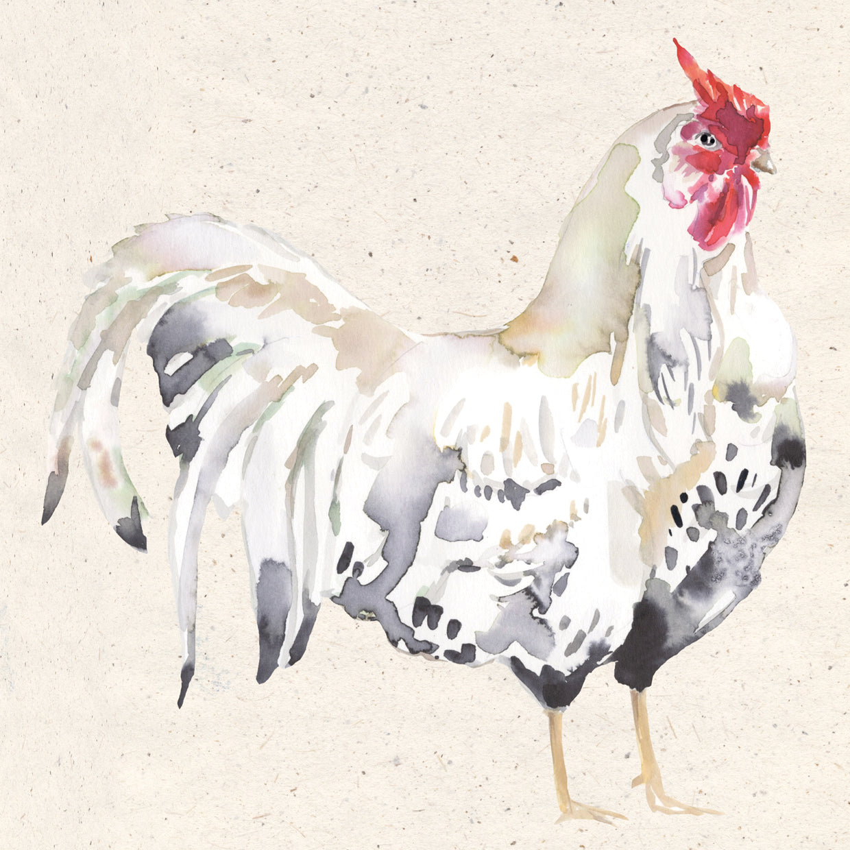 Watercolor Rooster 1