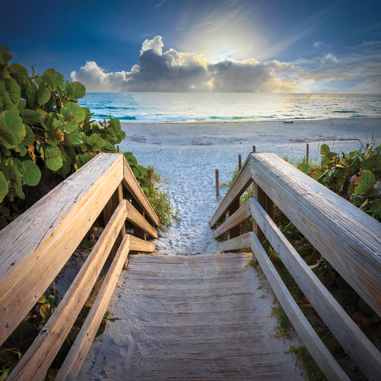 Sandy Steps onto the Beach