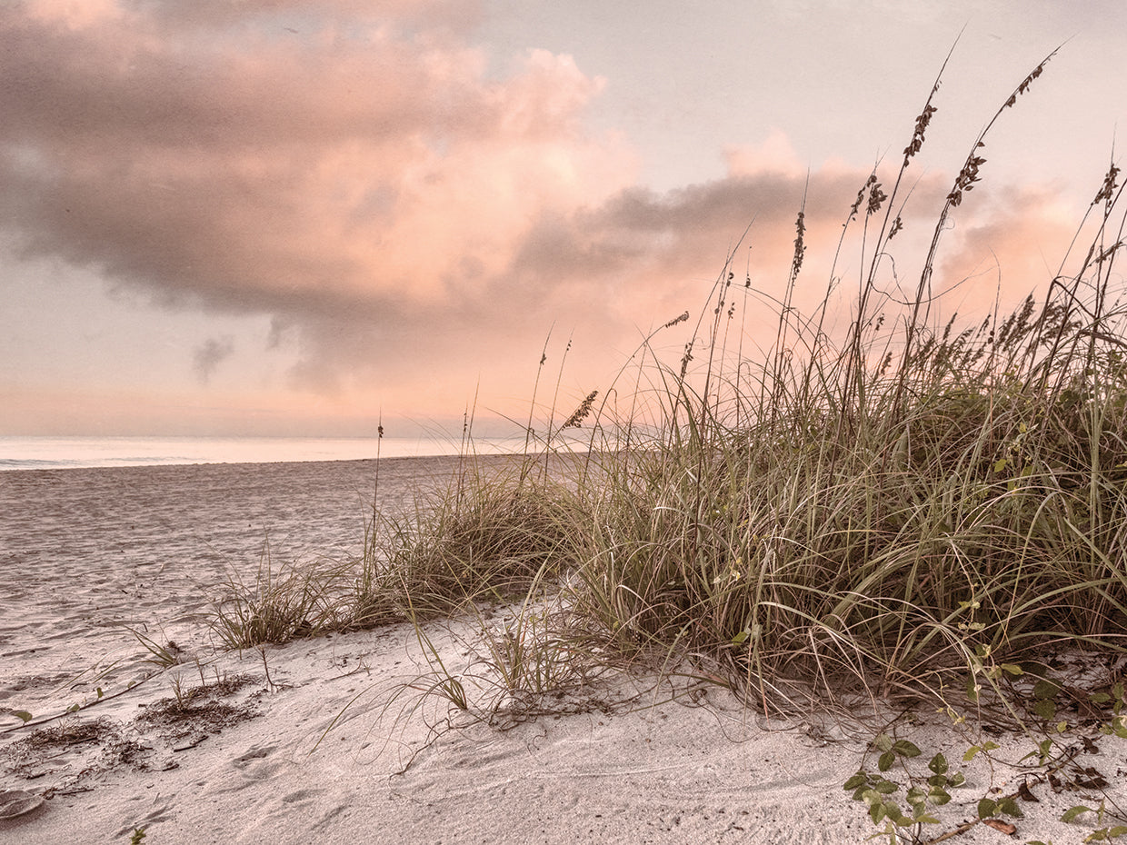 Sunrise Light over the Cottage Dunes