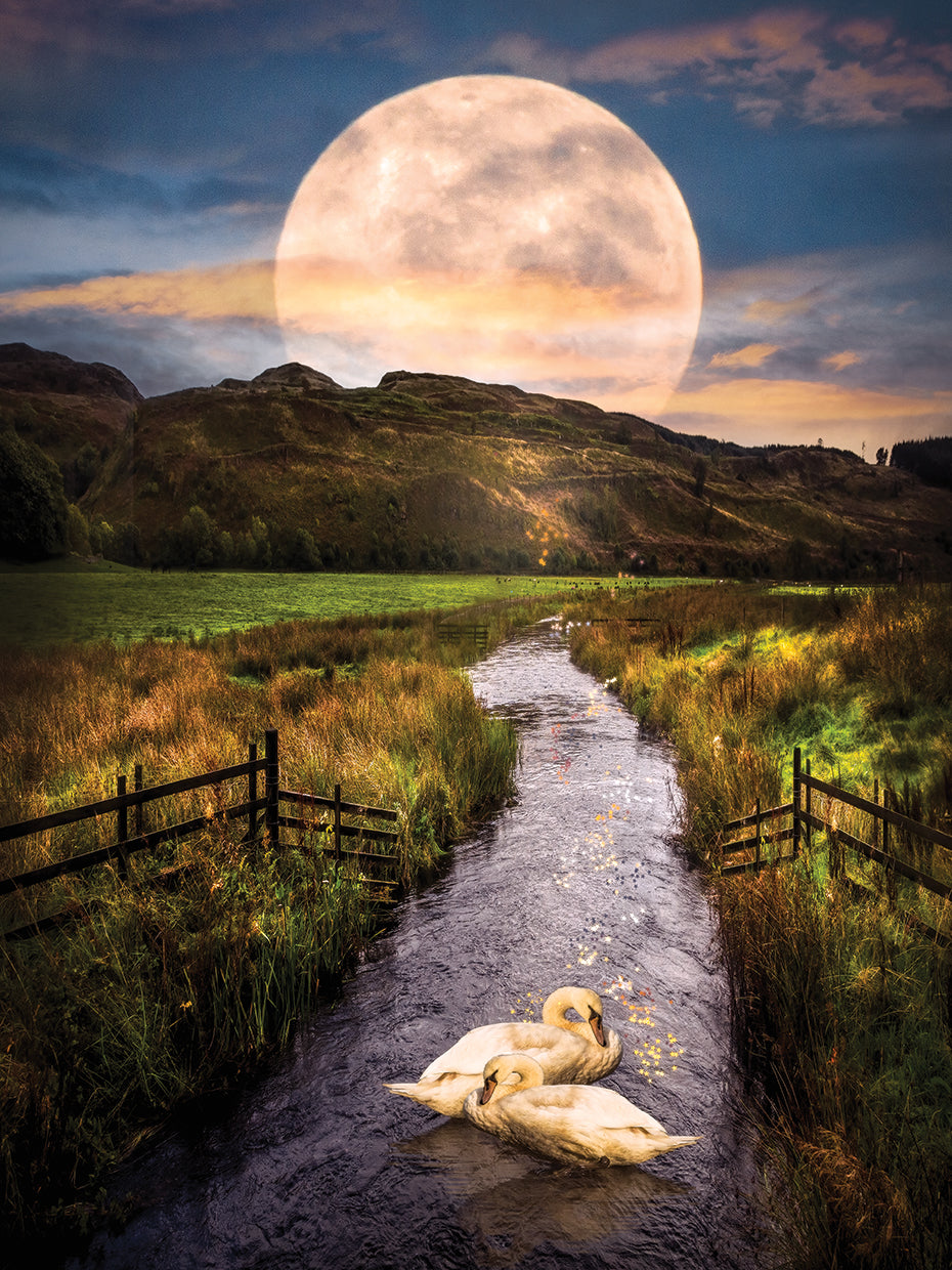 Moonlight on the Swans II