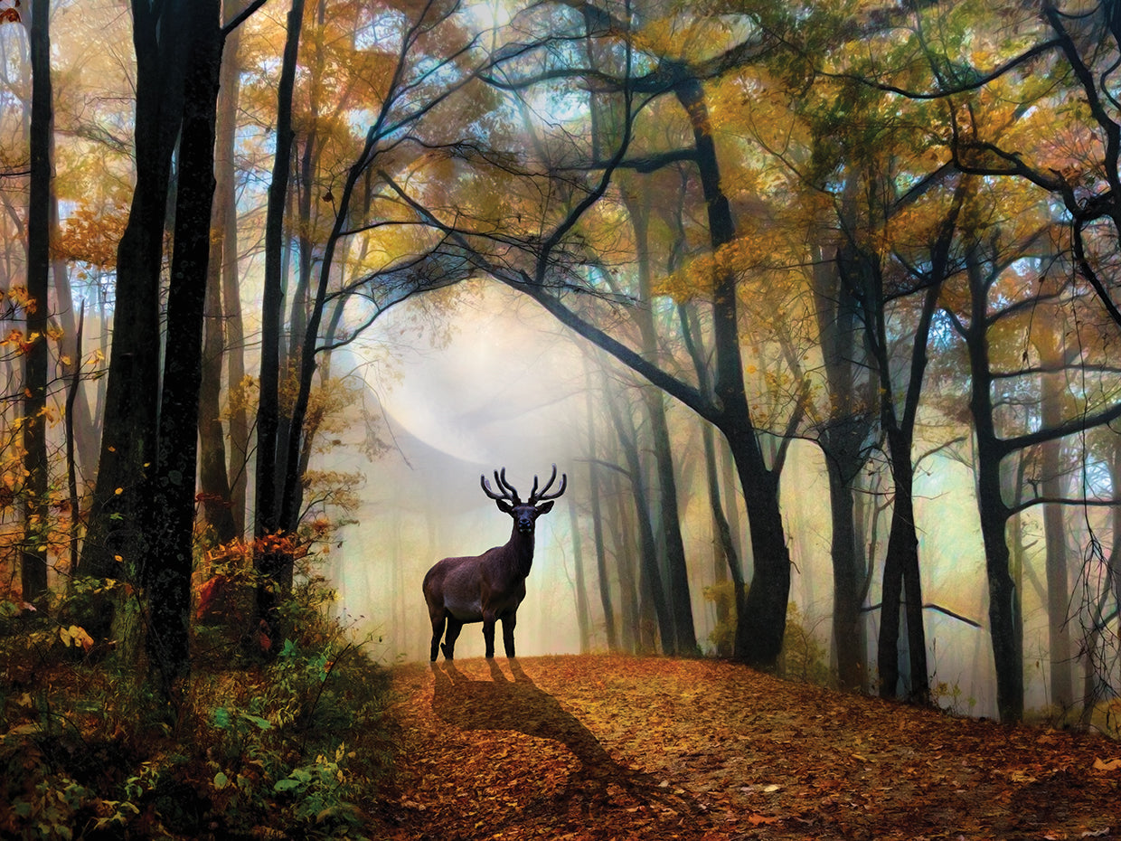 Moonlit Ghosts of Early Autumn