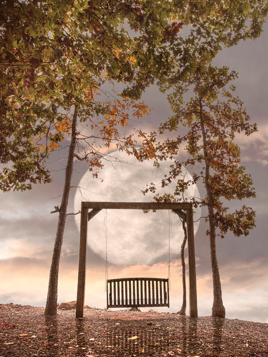 Waiting for You in the Soft Moonlight